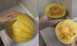 夫妻网红吃瓜图片视频,揭秘娱乐圈幕后真相